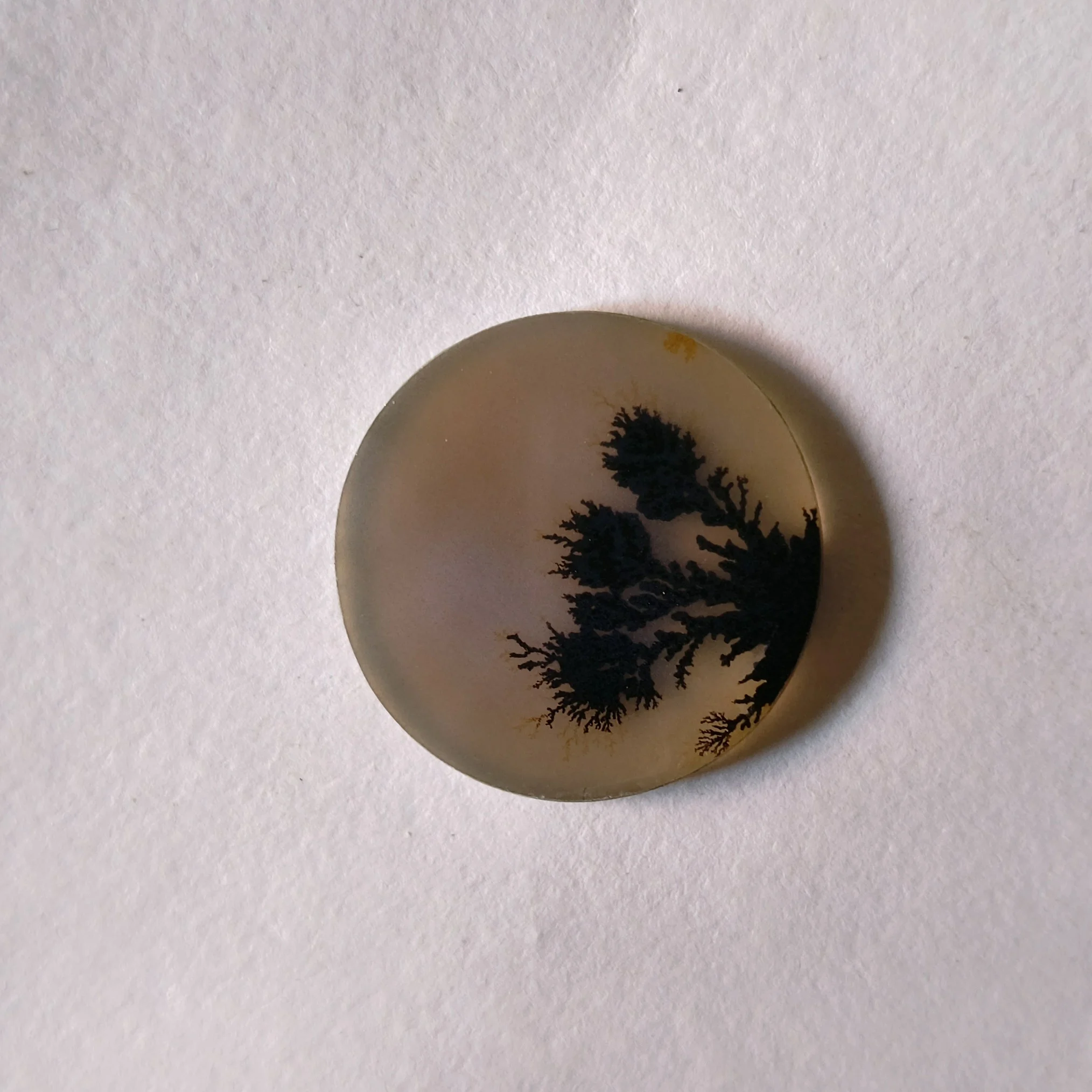 Product 14